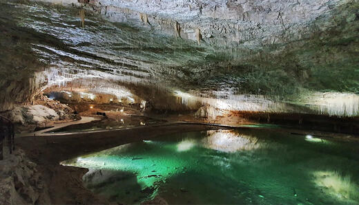 https://tourisme.saintmarcellin-vercors-isere.fr/sejourner/activites/les-musees-et-sites-a-visiter/196476_la-grotte-de-choranche/ https://tourisme.saintmarcellin-vercors-isere.fr/sejourner/activites/les-musees-et-sites-a-visiter/196476_la-grotte-de-choranche/